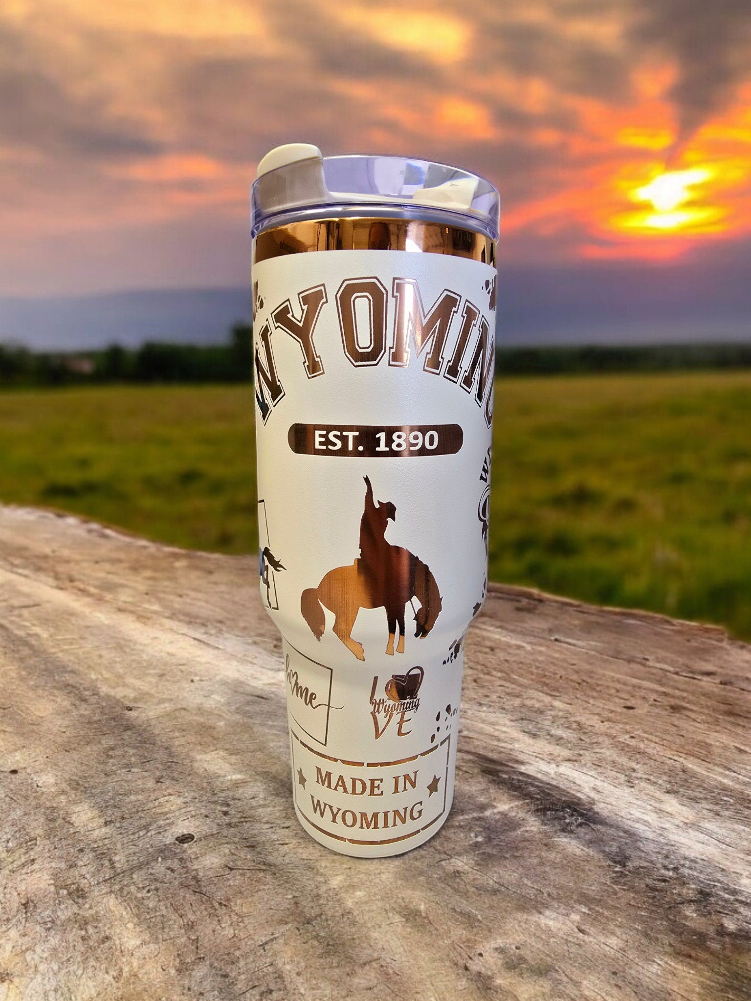 Wyoming Laser Engraved Full Wrap Design 40oz Tumbler, Digital Download, Seamless SVG For Laser Rotary